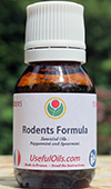 The Rodents Formula The Rodents Formula: anti mice, rats, rodents, essential oils for the home, buildings and garden.